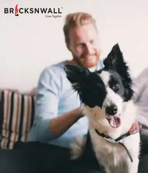 Moving to a New House with a Canine Companion